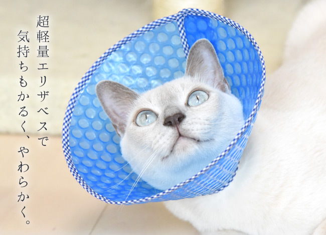 雑誌ananに掲載されました】猫用エリザベスカラー ソフトタイプ キティ