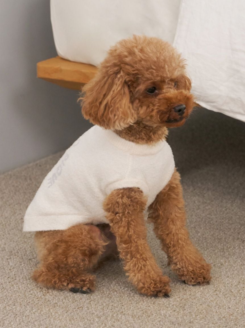 gelato pique（ジェラートピケ）【CAT&DOG】【販路限定商品】ベア