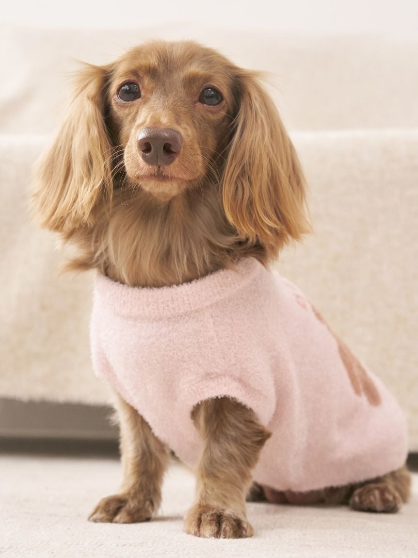 gelato pique（ジェラートピケ）【CAT&DOG】【販路限定商品】ベア