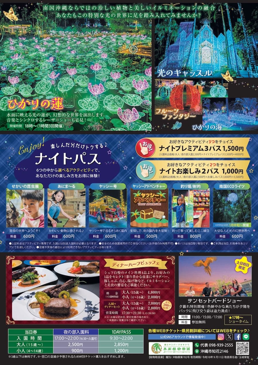 全国2位を受賞している日本最高レベルの輝きを沖縄で！東南植物楽園で