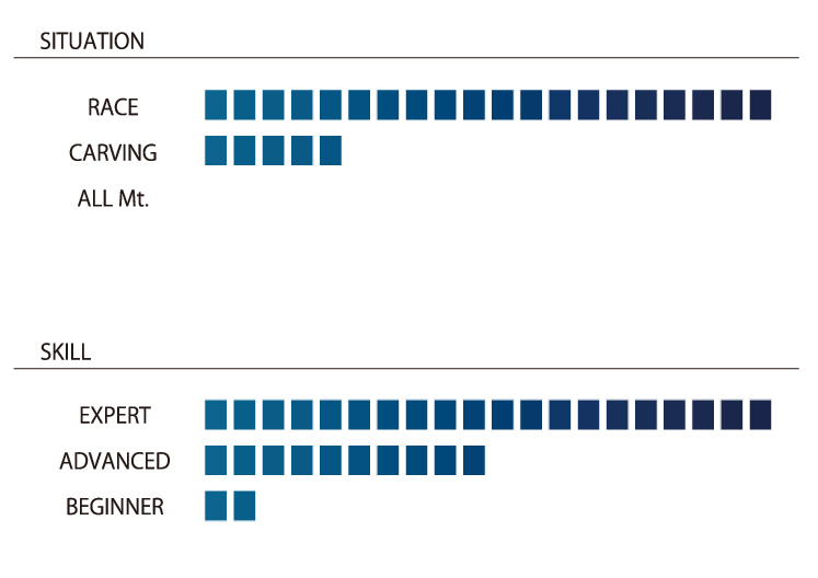 AMICSS WORLD CUP Factory Model