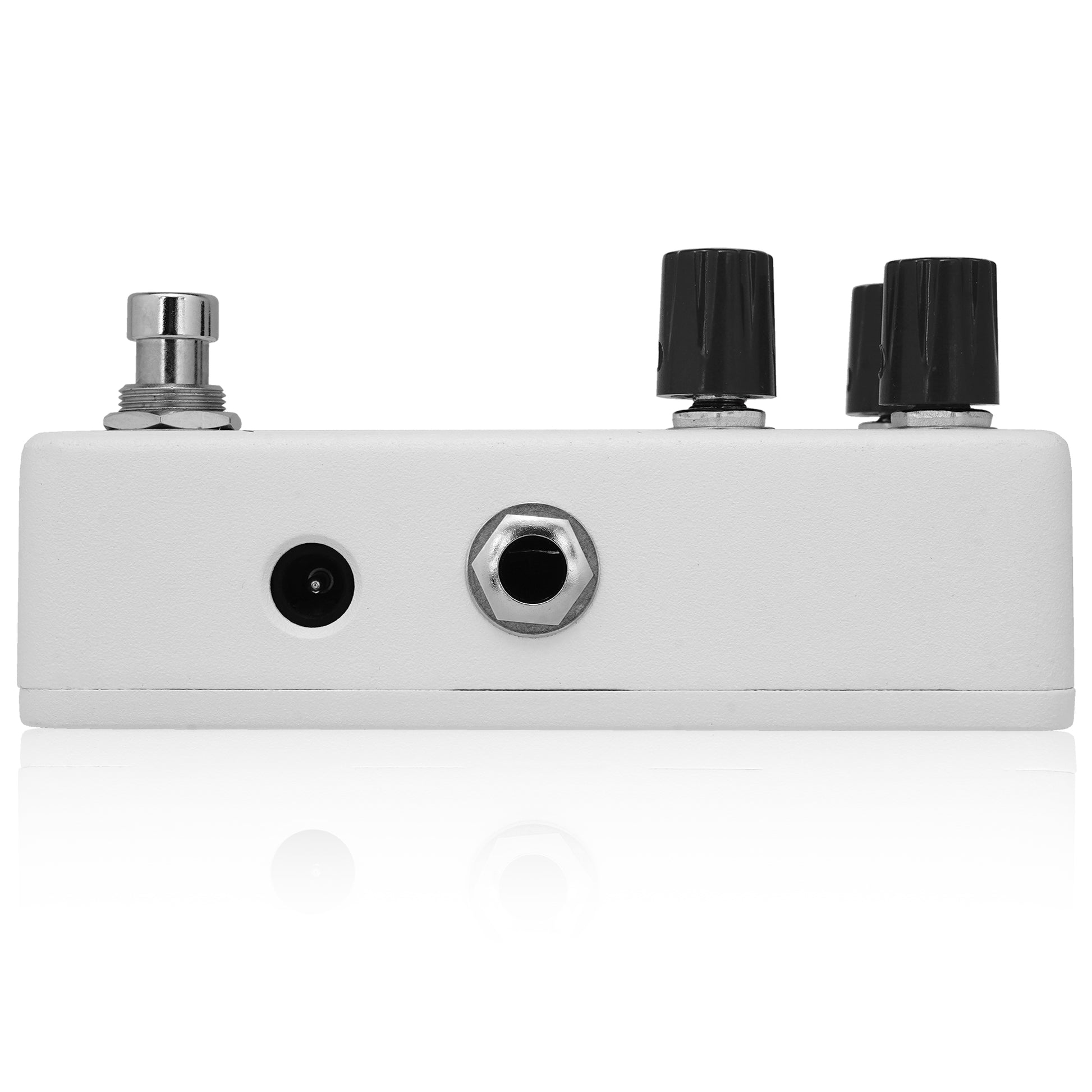 Relaxing-Walrus-Delay-02_1946x