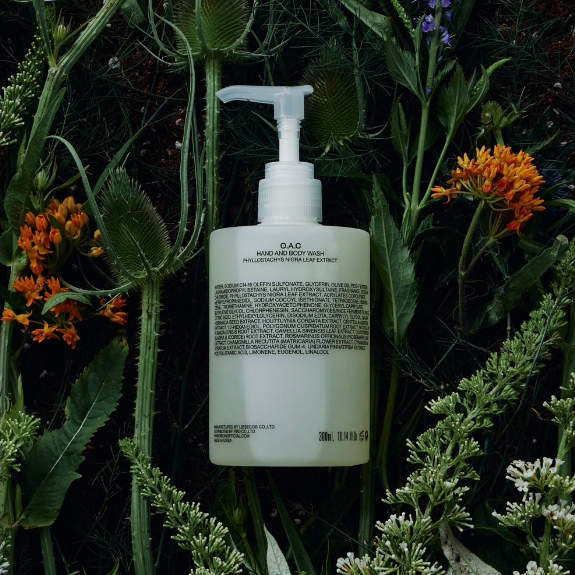 RboW - 【残りわずか】Hand And Body Wash(O.A.C) | ACRMTSM ONLINE STORE