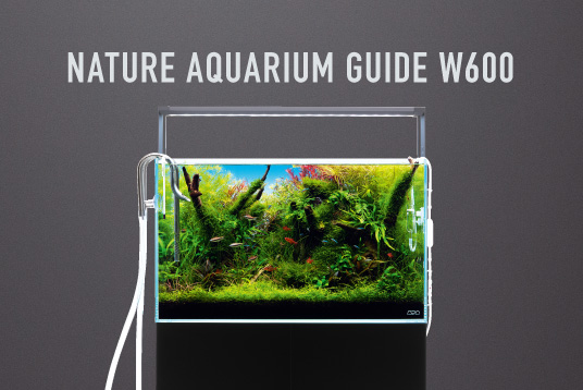 一部製品の価格改定のご案内 | ADA - NEWS RELEASE