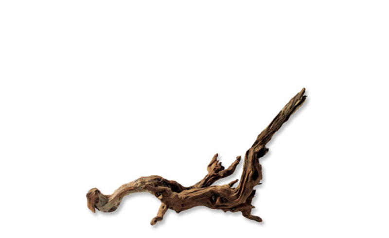 流木 | ADA - PRODUCT - レイアウト素材