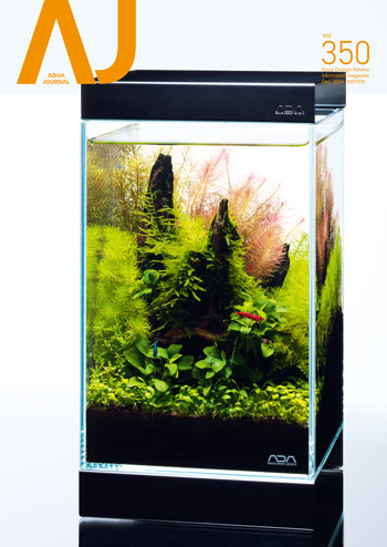 出版物・その他 | ADA - PRODUCT