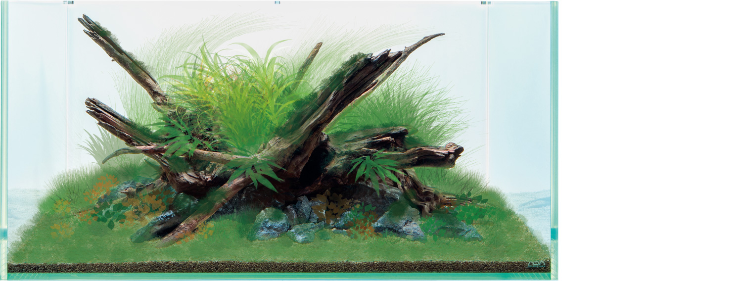 ADA Review 「水景クリエイターへの挑戦状 〜ホーンウッド編