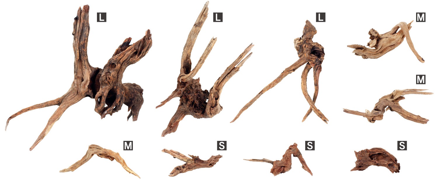ADA Review 「水景クリエイターへの挑戦状 〜ホーンウッド編