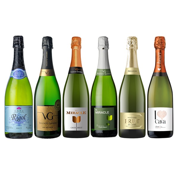 セット】スペイン厳選 カヴァ入スパークリング 辛口 飲み比べ6本セット