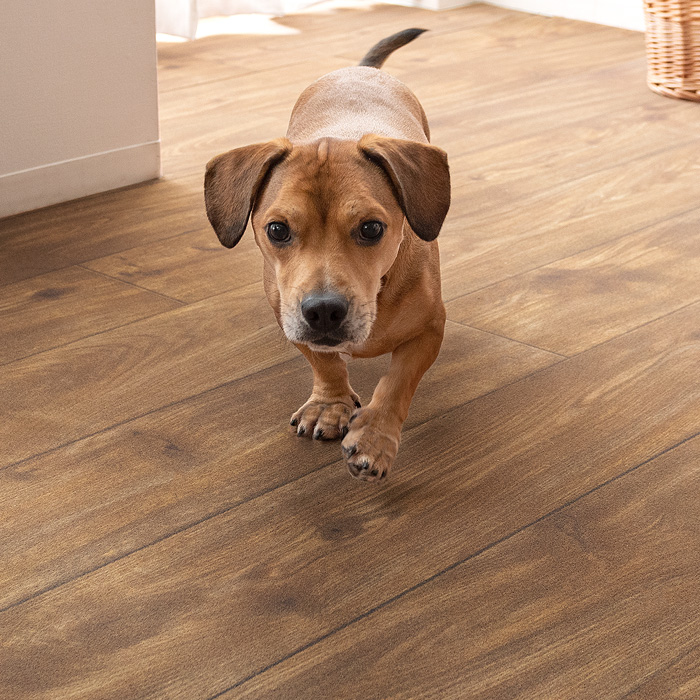 新品 定価81714円 滑らない木目調パイルカーペット ペット用 200x500