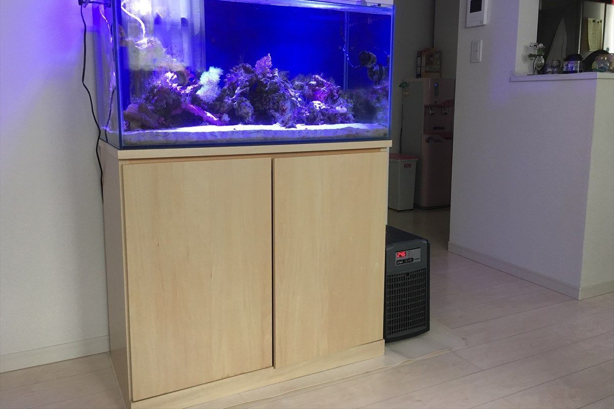 東京都足立区の個人宅90cm水槽を新居へお引越し｜アクア総合企画MUKASA