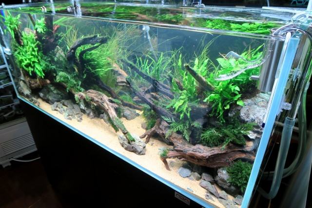 水草育成用高色彩LED照明システム SOLAR RGB 即日完売 | アクア