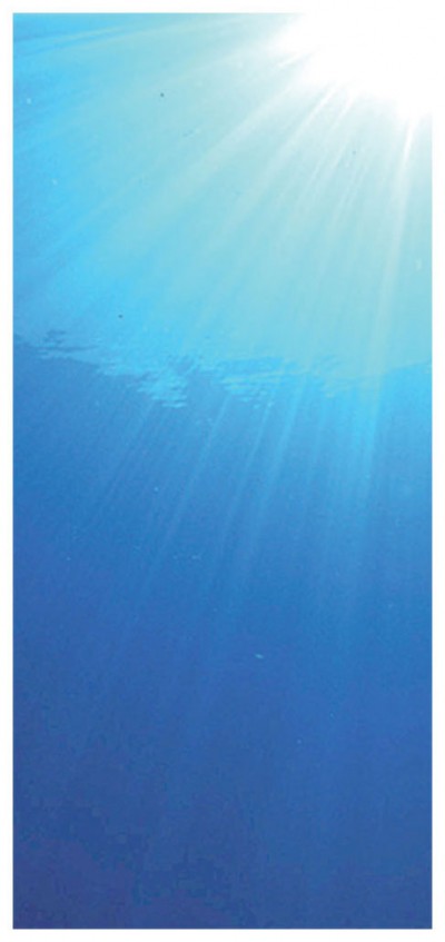 高砂淳二（ダイヤモンド・スクリーニング）|アート＆フレーム|絵と額縁