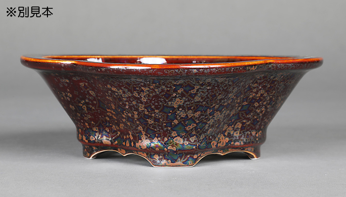 平安泉山辰砂釉星結晶木瓜式鉢(大) | 盆栽、盆栽書籍、盆栽鉢の通販