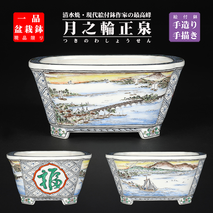 月之輪正泉 | 盆栽、盆栽書籍、盆栽鉢の通販│近代出版