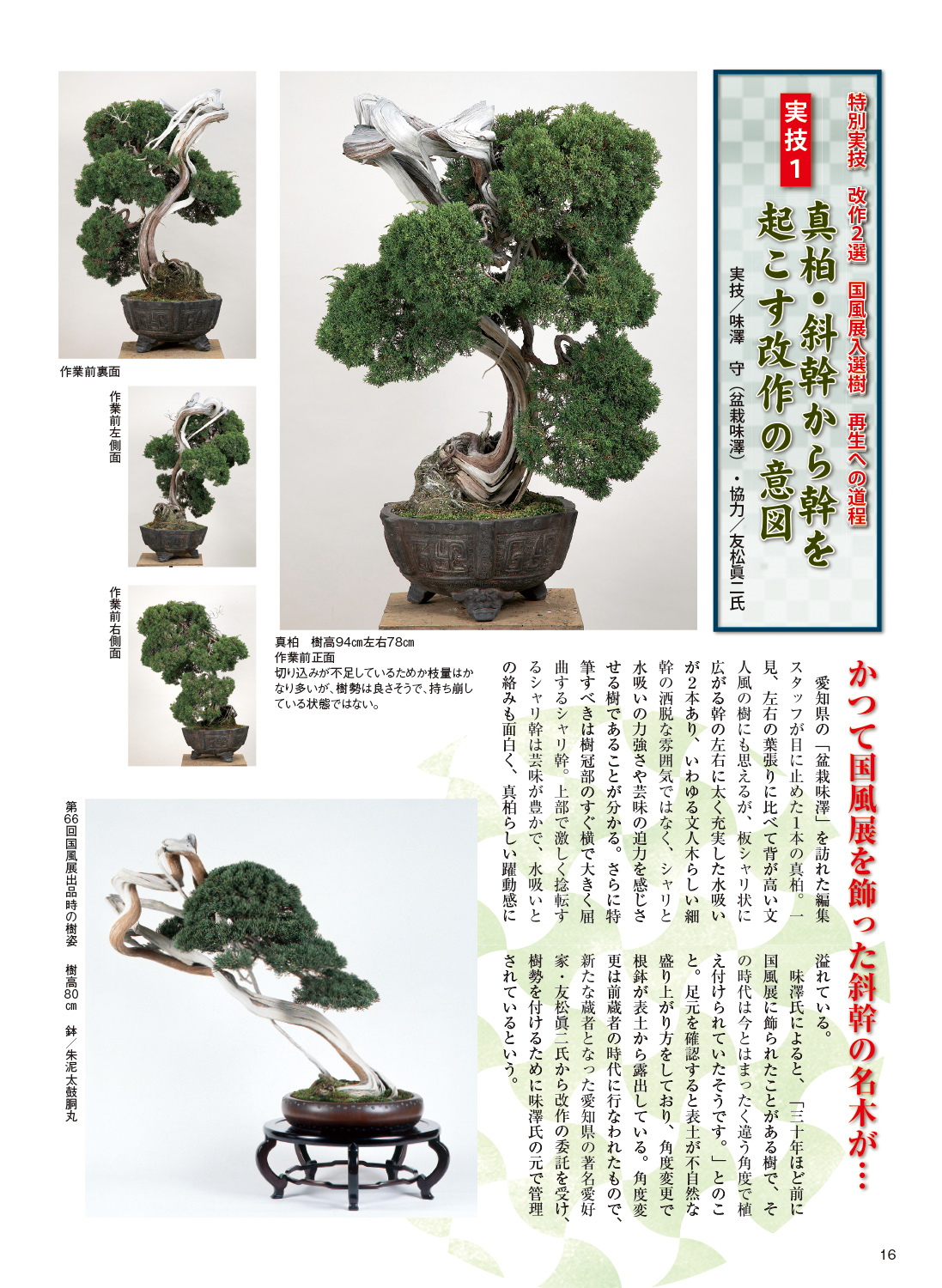 月刊「近代盆栽」2023年12月号 | 盆栽、盆栽書籍、盆栽鉢の通販│近代出版