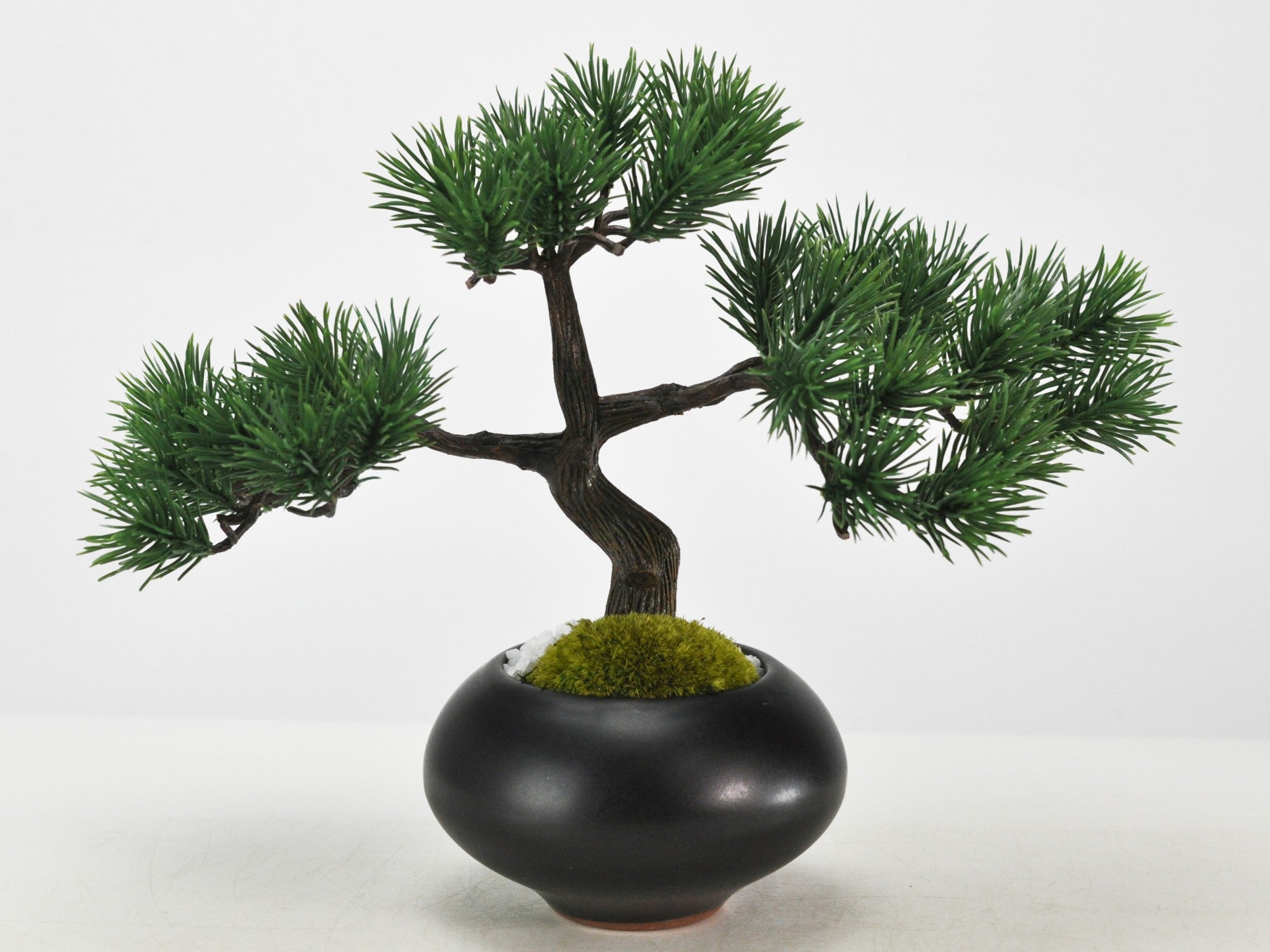 造花盆栽 枝振りの良い五葉松 模様木の盆栽の販売｜盆栽妙 – 盆栽妙 本店