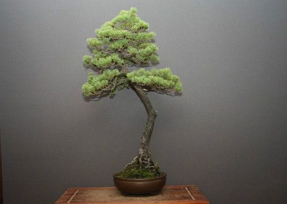 1423_1.jpg?v=1700520506&width=1946