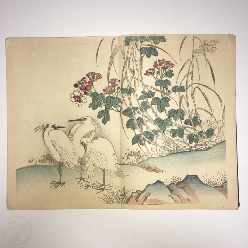 幕末屋 • 竹洞花鳥画譜 多色木版画 折本 (日本の絵本 ) • 希少な本と写真