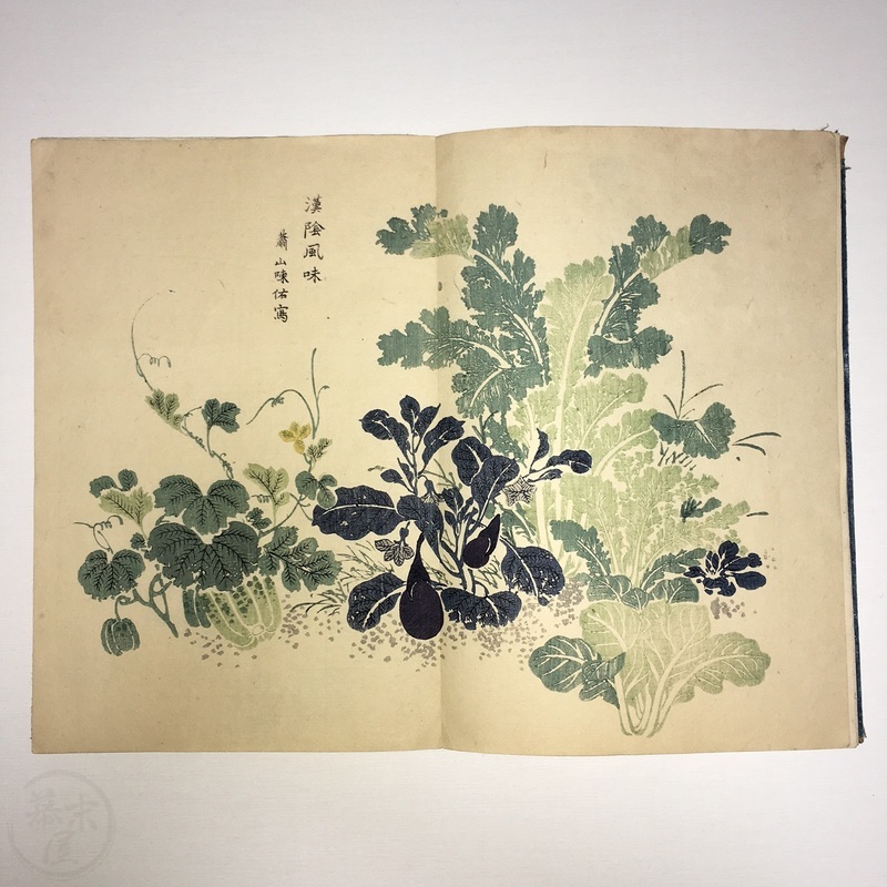 幕末屋 • 竹洞花鳥画譜 多色木版画 折本 (日本の絵本 ) • 希少な本と写真