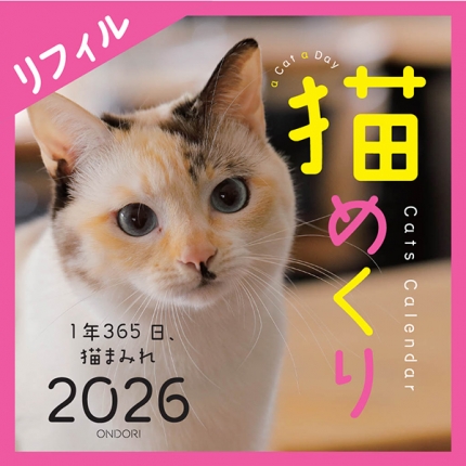 Cats Calendar 猫めくり リフィル2026―1年365日、猫まみれ | 中央経済