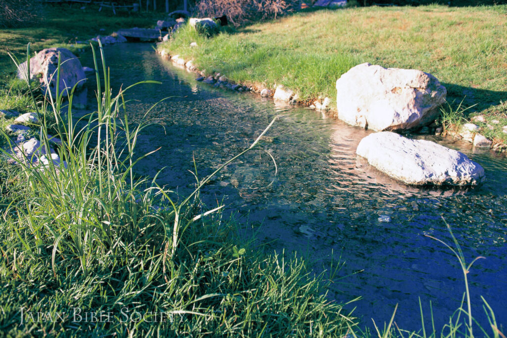 フォトギャラリー 2025年1月 - 日本聖書協会ホームページ
