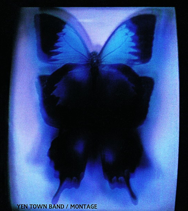 YEN TOWN BAND、11月3日“レコードの日”に7インチ・シングル限定盤発売