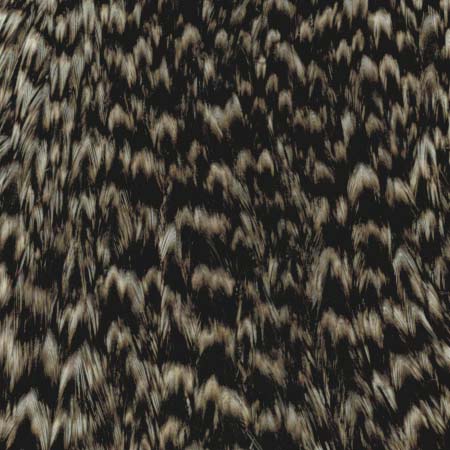 Whiting Farms Whiting Hen Neck Hackle | ホワイティング・ファーム