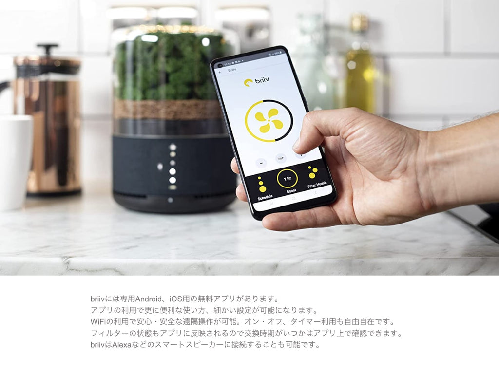 briiv 2 空気清浄機 イギリス発 自然派エコ空気清浄機 Briiv