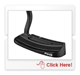 ピン(PING) Redwood(レッドウッド) ZBパター