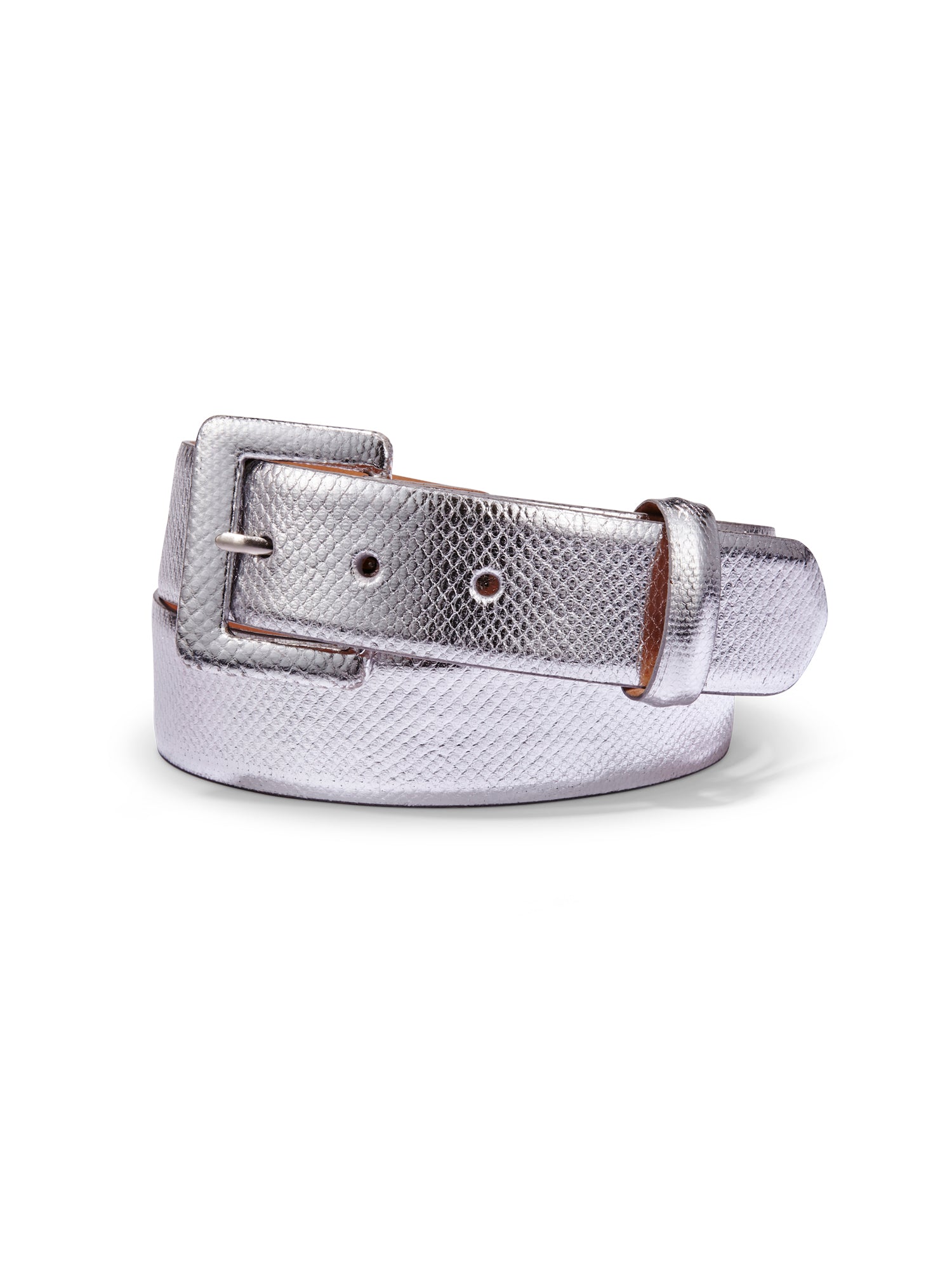 Milly Metallic Snakeskin Belt – Gorsuch