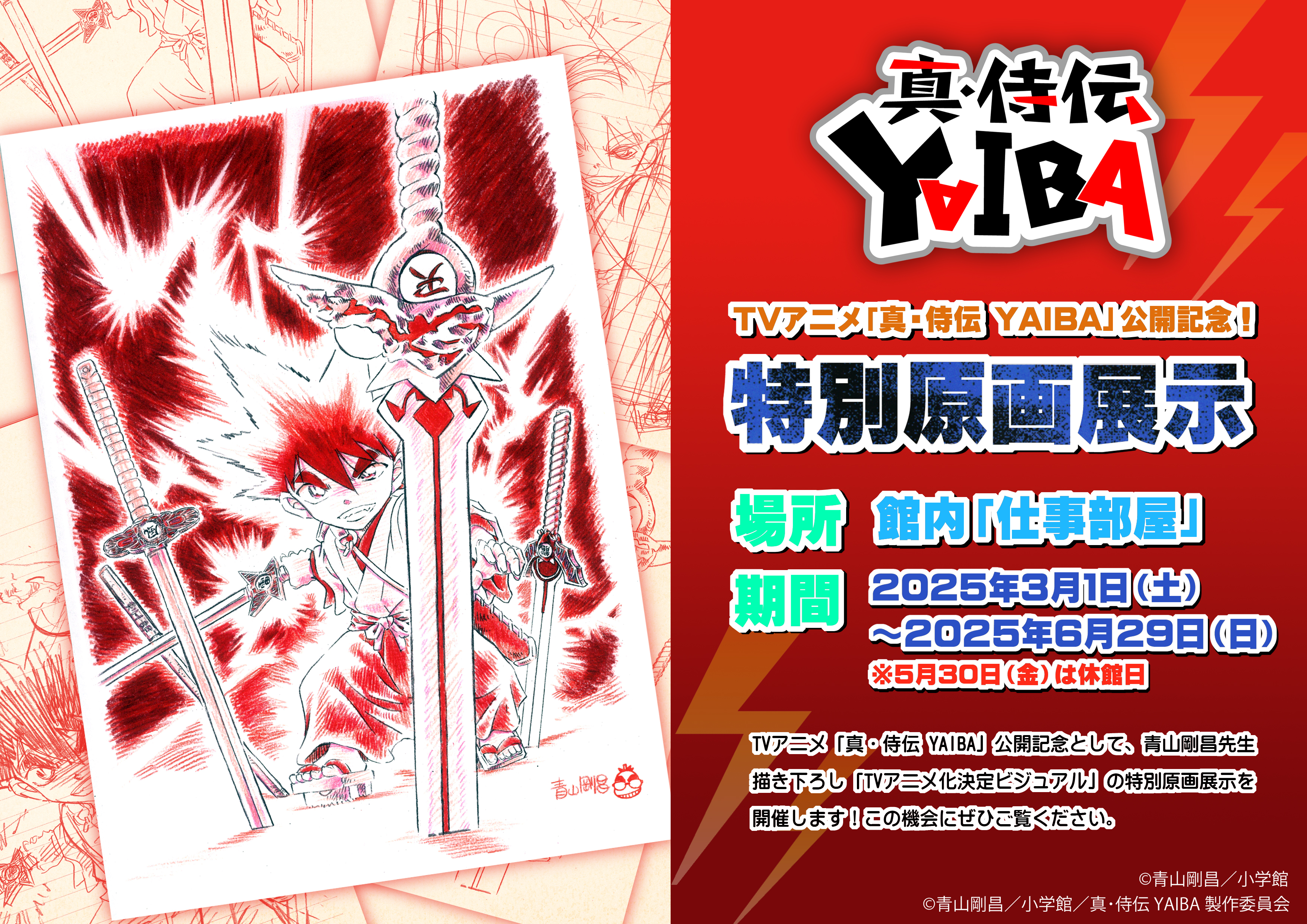 終了】TVアニメ「真・侍伝 YAIBA」公開記念！「TVアニメ化決定