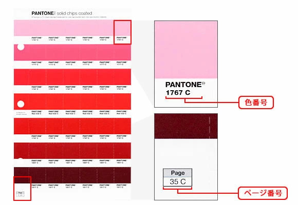 PANTONE ソリッドチップス 差替 コート紙 最新版 色見本のG&E
