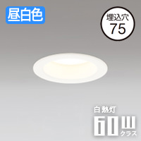 バスルーム ダウンライト Φ75mm・60W｜昼白色｜照明のライティング