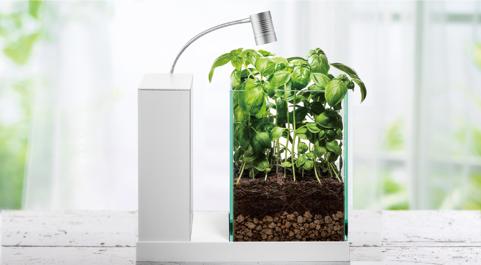 AQUA-U | 新機構でレイアウト自在な水槽 | ジェックス