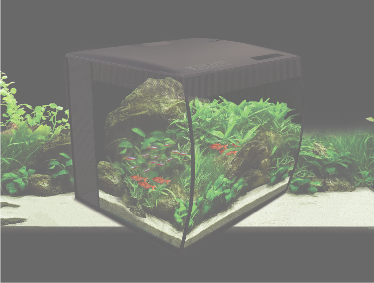 FLUVAL丨アクアリウム用LEDライト丨ジェックス