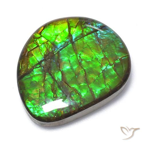 アンモライト宝石 - 天然石・認定石 | GemSelect