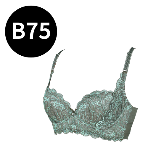 ラヴィエール ブラジャー ヴェールアングレ｜エステサロン・美容院向け