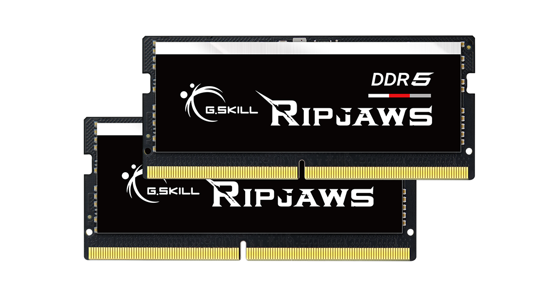 F5-5600S4040A32GX2-RS - Overview - G.SKILL International