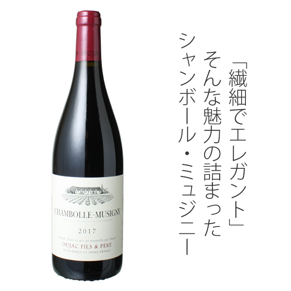 シャンボール・ミュジニー 2022 デュジャック・フィス・エ・ペール 赤