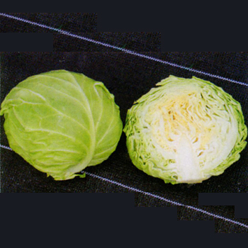 00012752_photo1.jpg?20200501011928