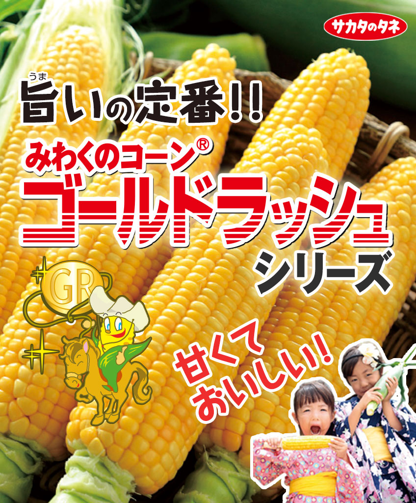 みわくのコーン ゴールドラッシュシリーズ - e-種や｜野菜種、花種と苗