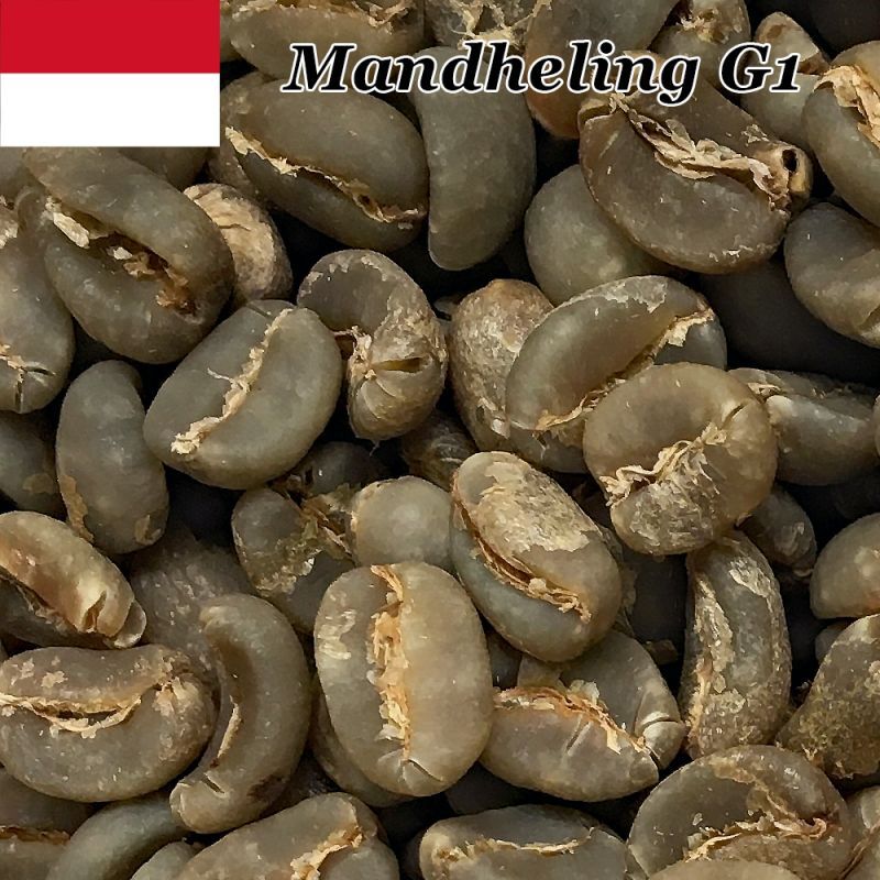 コーヒー生豆【10kg】マンデリンG1