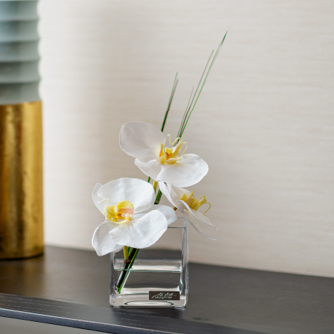 胡蝶蘭(ファレノプシス)のアートフラワー特集|エミリオ・ロバ公式