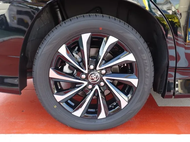 ノア 未使用 peak 金属製ブロンズペグ 10本×3セット ノア 未使用 peak