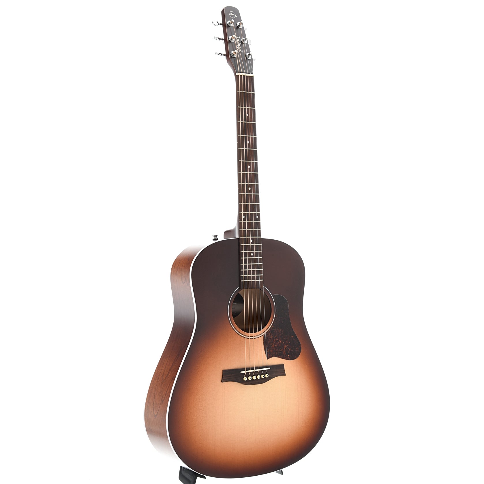 Seagull Entourage Autumn Burst – Elderly Instruments