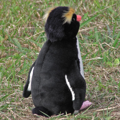 ロックホッパーペンギン | ぬいぐるみ オーダーメイド EUREKA