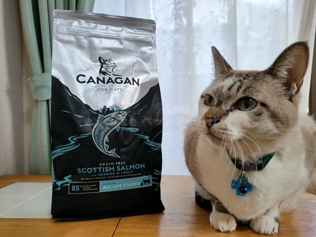 評判や安全性は？】カナガンサーモン(旧シンプリー)を試した私の口コミ！