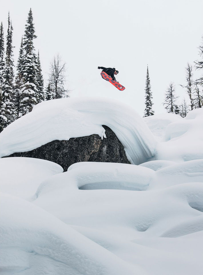 25-26 バートン スノーボード BURTON Family Tree Hometown Hero