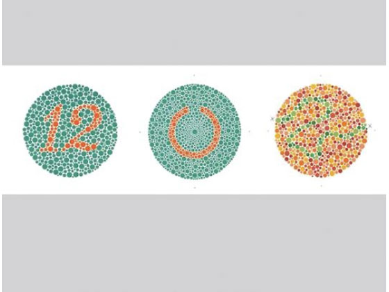 アズワン 色覚検査表 石原色覚検査表Ⅱ 国際版38表 1205A 通販